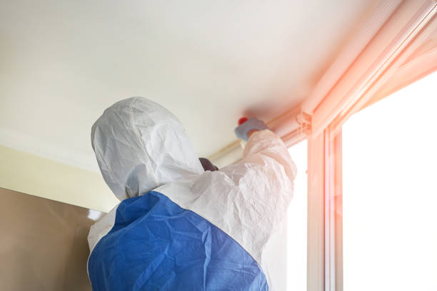 Corpus Christi, TX Mold Removal Company